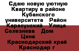 Сдаю новую уютную Квартиру в районе Кубанского университета › Район ­ Карасунский › Улица ­ Селезнева › Дом ­ 4/13 › Цена ­ 1 300 - Краснодарский край, Краснодар г. Недвижимость » Квартиры аренда посуточно   . Краснодарский край,Краснодар г.